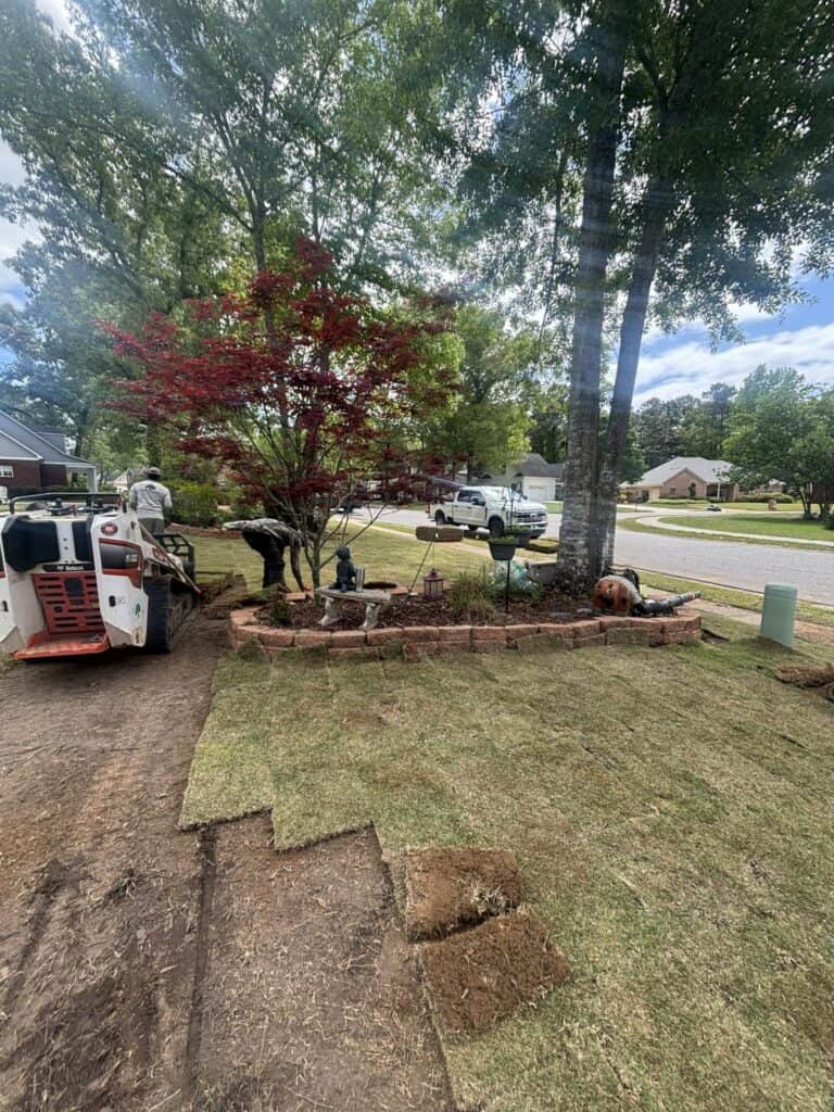 Landscaping installation with fresh sod and a newly mulched tree bed beside a residential lawn