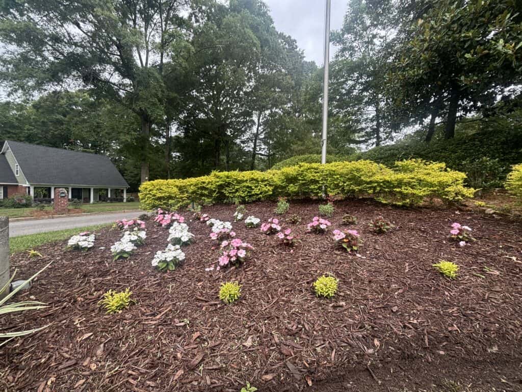 Mulched front garden bed with pink and white flowers, shrubs, and mature trees beside a home.