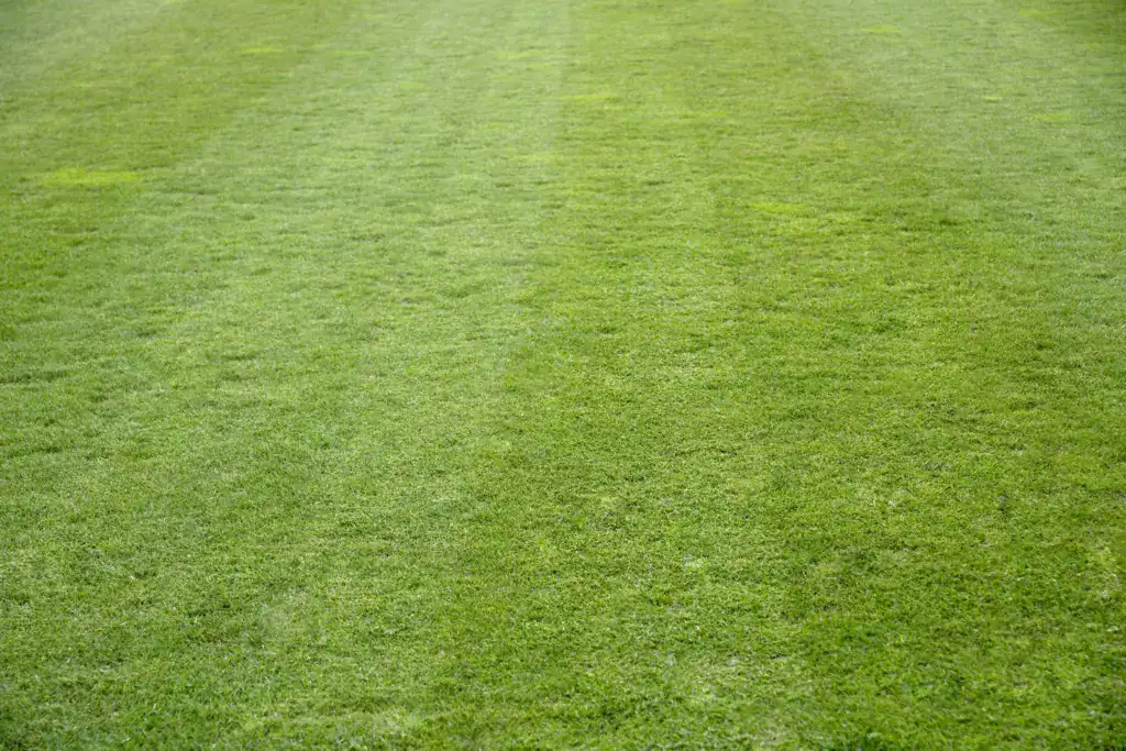 Residential Landscaping Baldwin County